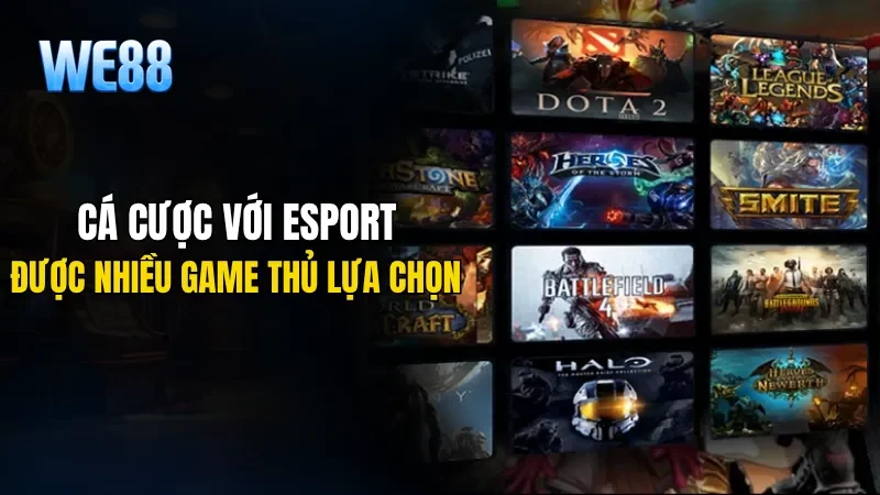 Cá cược với esport được rất nhiều game thủ lựa chọn